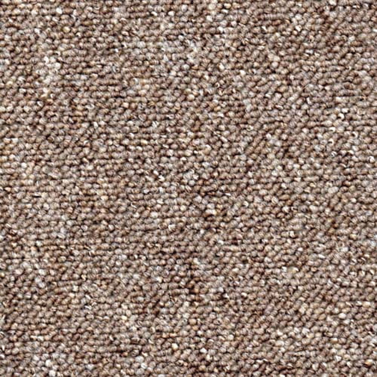 Mega Star - Image 11