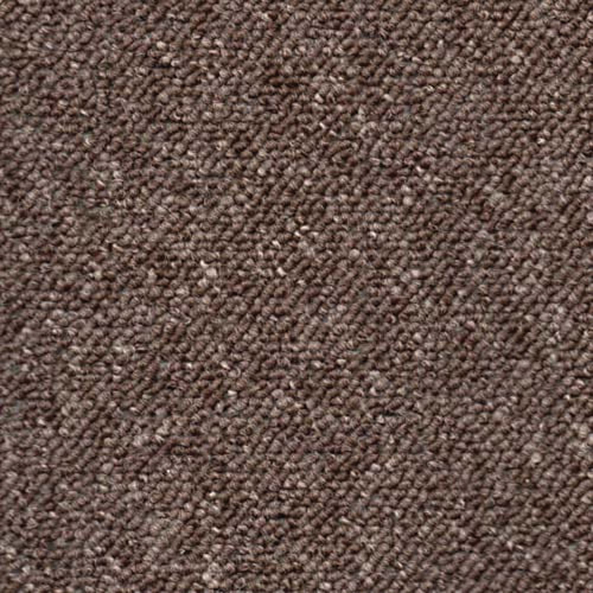 Mega Star - Image 12